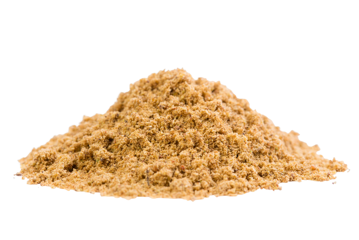 Ginkgo biloba