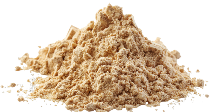 Panax Ginseng